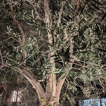 Home2 Suites by Hilton Riverside Downtown Convention Center - Hotels Near Me - Riverside, California Home2 Suites by Hilton Riverside Downtown Convention Center - Hotels Near Me - Riverside, California