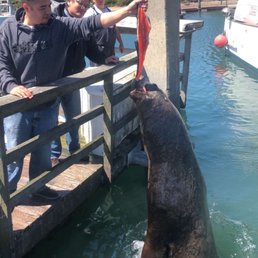 Got to feed Walter!!!! Got to feed Walter!!!!