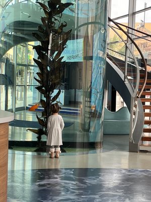 Planet Ocean Montpellier by null