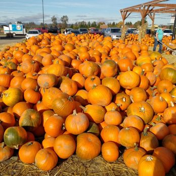 Sterino Farms - Farmers Market Near Me - Puyallup, Washington Sterino Farms - Farmers Market Near Me - Puyallup, Washington