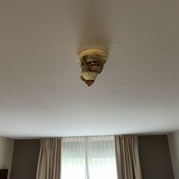 Smoke detector Smoke detector