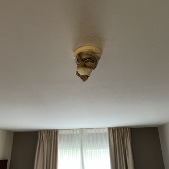 Comfort Suites - Smoke detector - Hotels Near Me - Wixom, Michigan Comfort Suites - Smoke detector - Hotels Near Me - Wixom, Michigan