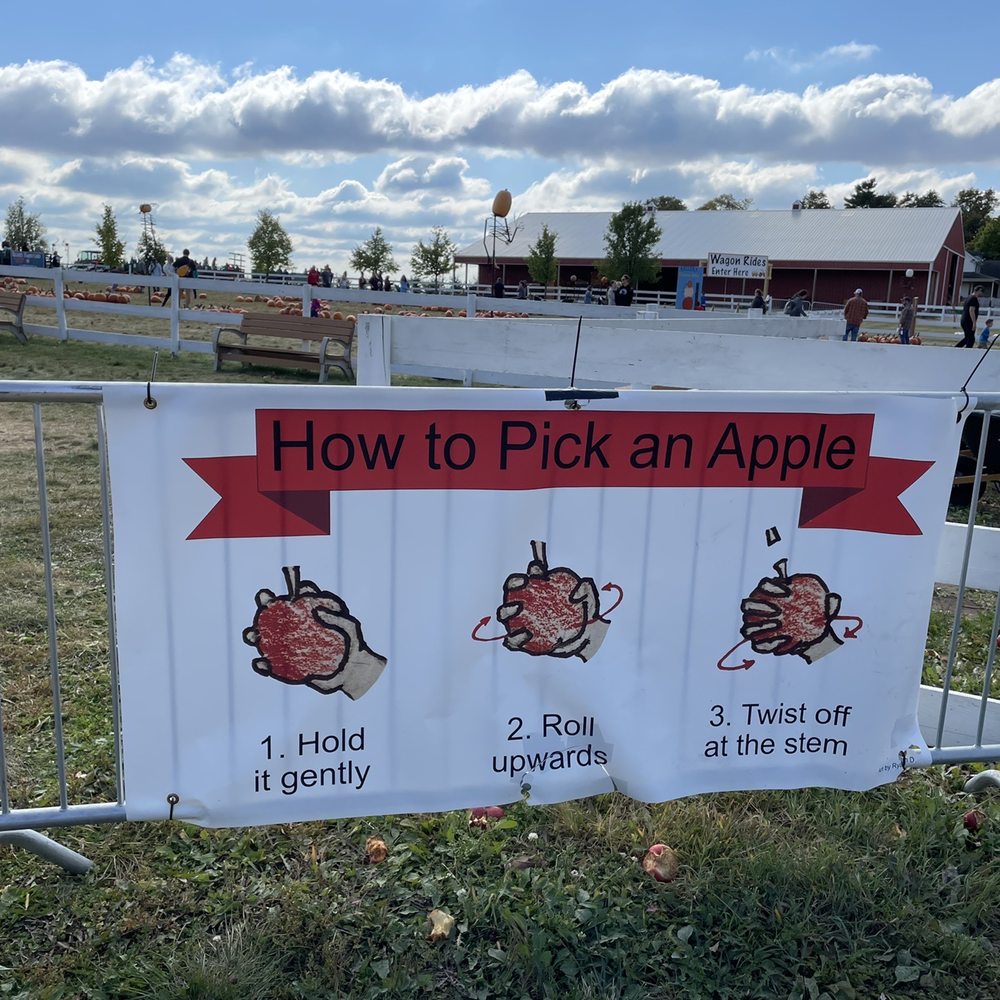 Keller's Farmstand - Pick Your Own Farms Near Me - Oswego, Illinois Keller's Farmstand - Pick Your Own Farms Near Me - Oswego, Illinois