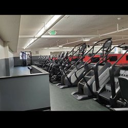 B Fit Norton