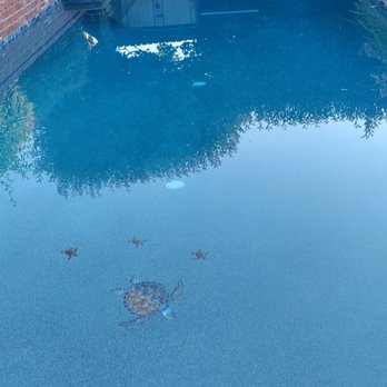 North Star Pools Plastering - Turtle family - Pool & Hot Tub Service Near Me - Sacramento, California