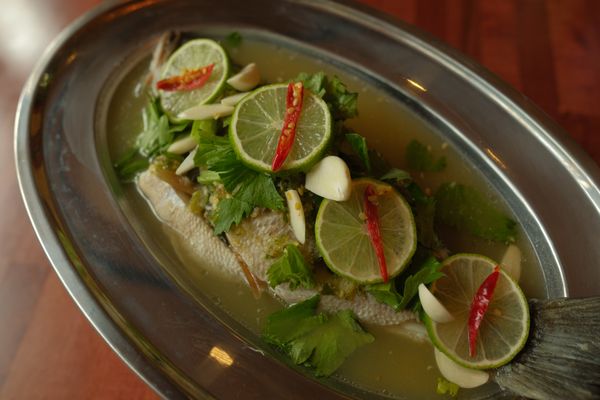Fin Thai SF by null