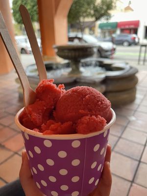 Frozen Fruit Co by null