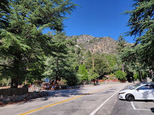 Mt Baldy by null