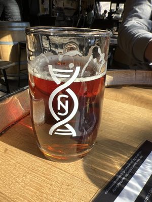 Novel Strand Brewing Company by null