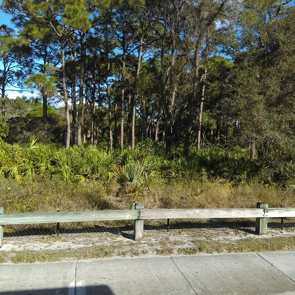 Naples Trolley Tours - Views - Tours Near Me - Naples, Florida Naples Trolley Tours - Views - Tours Near Me - Naples, Florida
