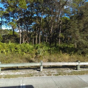 Naples Trolley Tours - Views - Tours Near Me - Naples, Florida