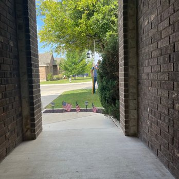 Monitor Pest Control - The owner manually removing the nest with a saw. - Pest Control Near Me - New Braunfels, Texas Monitor Pest Control - The owner manually removing the nest with a saw. - Pest Control Near Me - New Braunfels, Texas