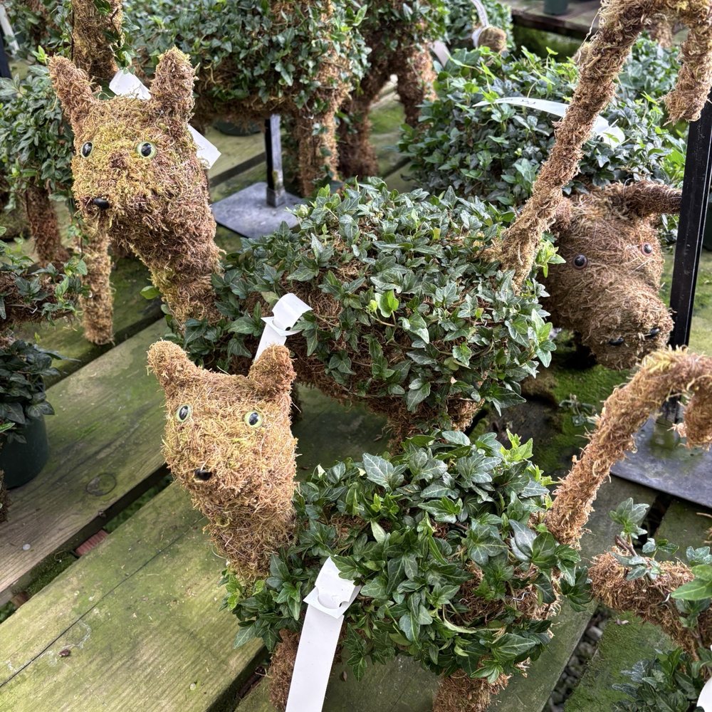 Half Moon Bay Nursery - Nurseries & Gardening Near Me - Half Moon Bay, California