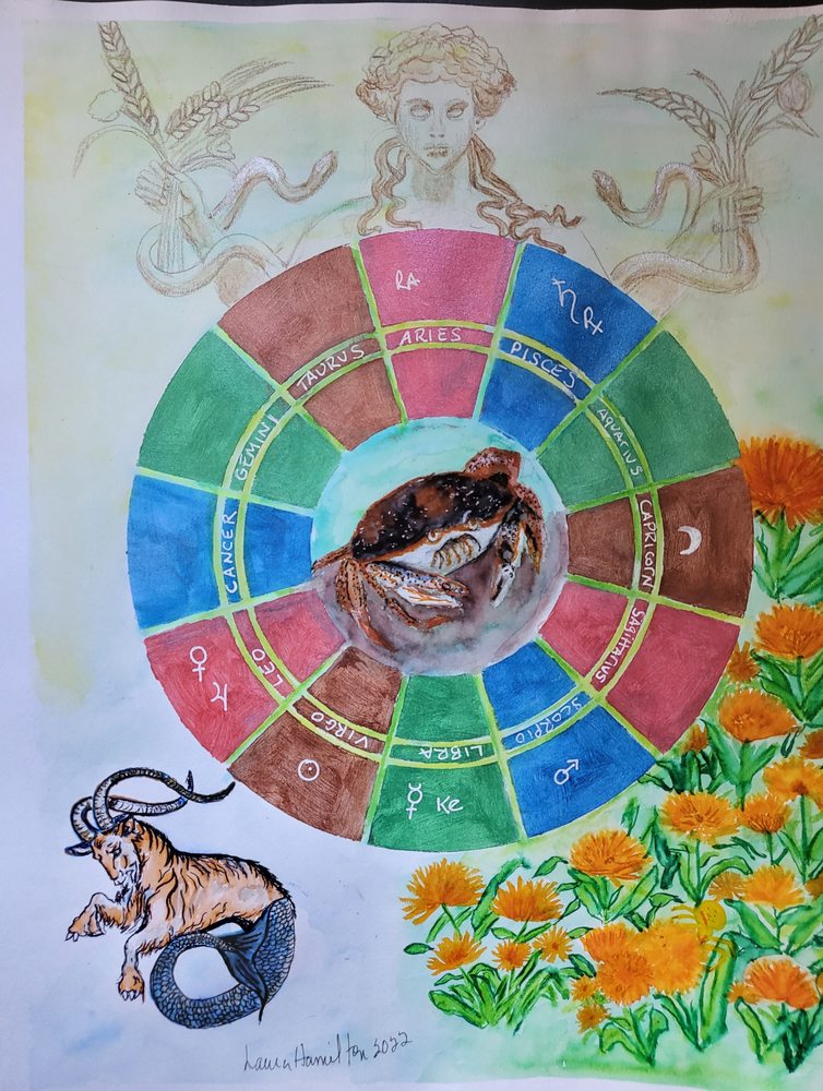 Insight Consulting - taxidermy in Augusta, ME