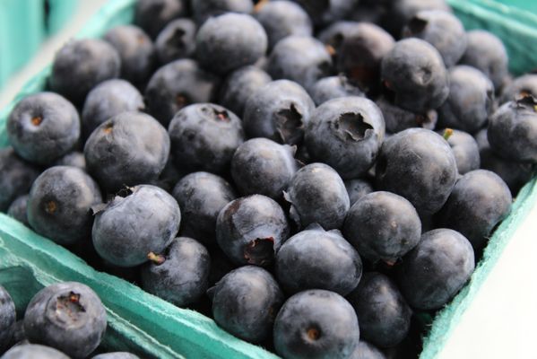 Larsen Lake Blueberry Farm by null