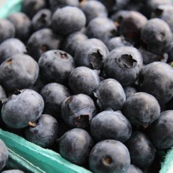 Larsen Lake Blueberry Farm