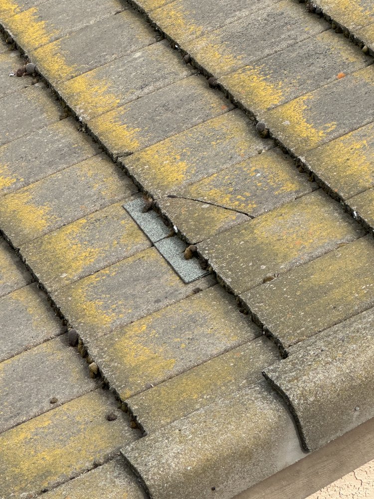 Slide of Handyman Brave