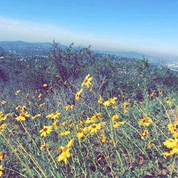 Summitridge Park - Best time to hike is spring - Parks Near Me - Diamond Bar, California Summitridge Park - Best time to hike is spring - Parks Near Me - Diamond Bar, California