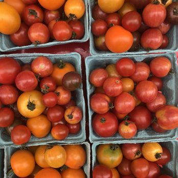 South Pearl Street - Tomatoes! - Farmers Market Near Me - Denver, Colorado South Pearl Street - Tomatoes! - Farmers Market Near Me - Denver, Colorado