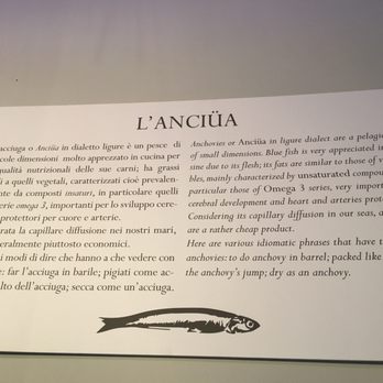 L'anciüa - What place is about! - Seafood Near Me - Lucca, LU