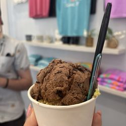 Lemon gelato and chocolate gelato
