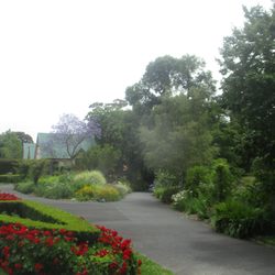 Canterbury Gardens - Gardens