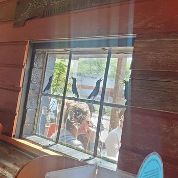 Crow and Cart - Window to outside - Cocktail Bars Near Me - Eugene, Oregon