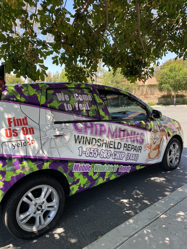 CHIPMUNKS WINDSHIELD REPAIR & RESTORATION 37 Photos & 96 Reviews