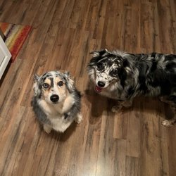 Hired Killers, Inc
