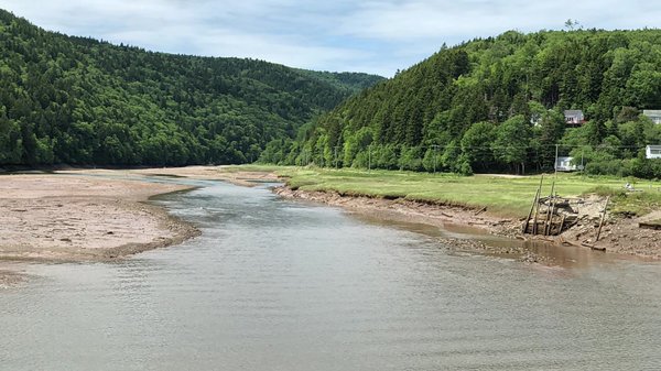 Parkland Village Inn by null