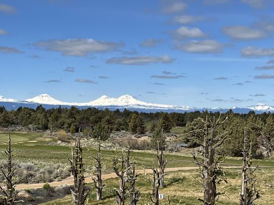 Juniper Preserve by null