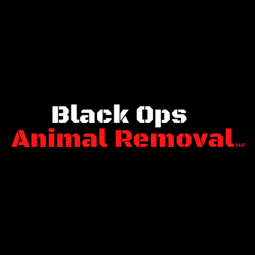 BLACK OPS ANIMAL REMOVAL Updated July 2024 Knoxville, Tennessee Wildlife Control Phone