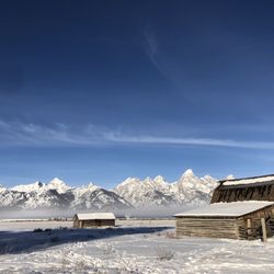 Jackson Hole Wildlife Safaris