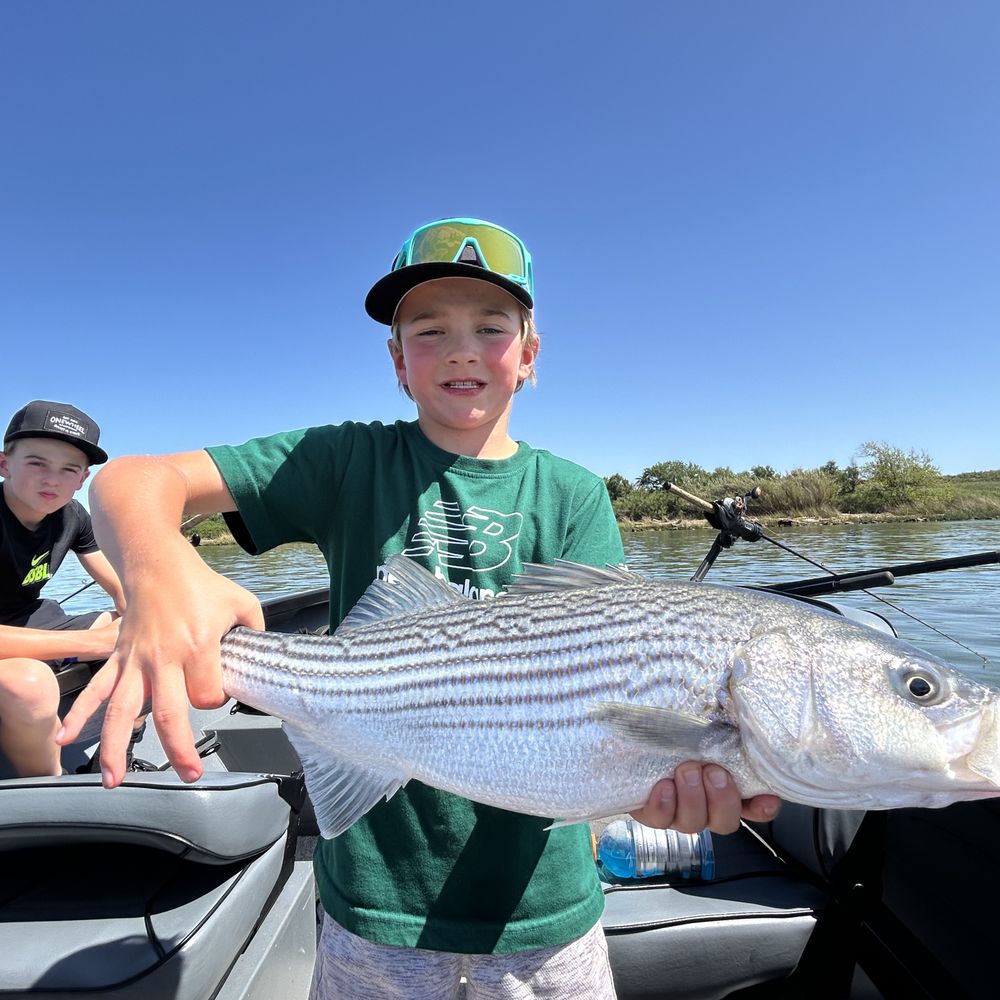 TOP 10 BEST Fishing Guides near Dixon, CA - Updated 2026 - Yelp