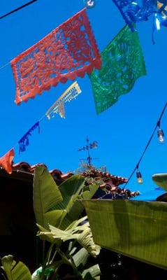 Casa de Freds by null