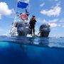 Photo of Scuba Planet