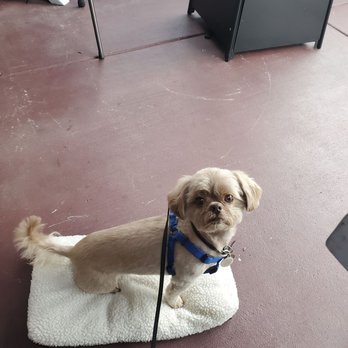 West End Bar & Kitchen - Dog friendly outdoor patio - American Near Me - Del Mar, California West End Bar & Kitchen - Dog friendly outdoor patio - American Near Me - Del Mar, California