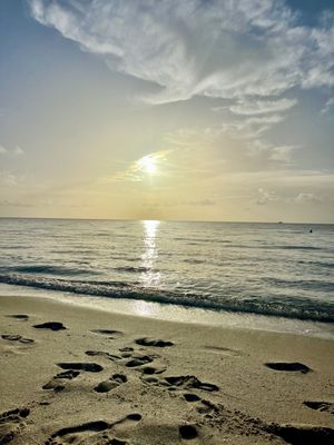 Fort Lauderdale Beach by null