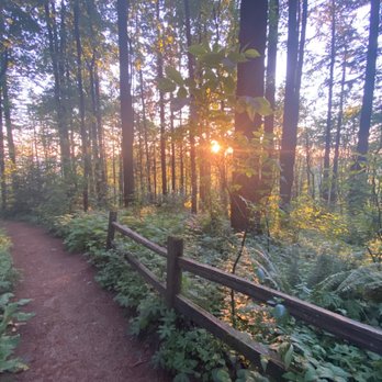 Council Crest Park - Beautiful trail. Sun setting beyond the trees - Dog Parks Near Me - Portland, Oregon Council Crest Park - Beautiful trail. Sun setting beyond the trees - Dog Parks Near Me - Portland, Oregon