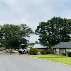 The Tree Service - Before the job began. 2 overwhelming water oaks in a tiny yard.