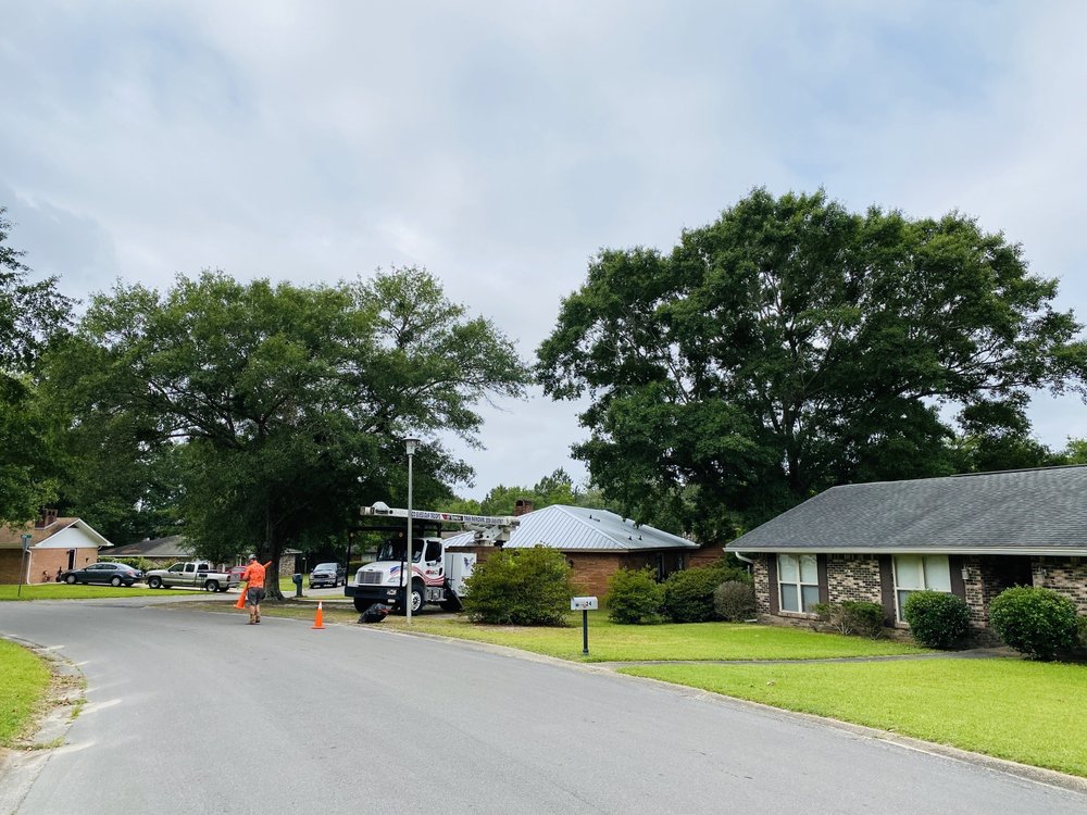 THE TREE SERVICE Updated June 2024 14 Photos 24320 Airey Tower Rd