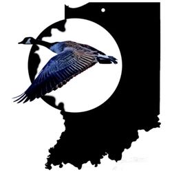 Zb Falcons Conservation Club - ZB Falcons Conservation Club Logo