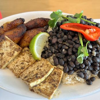 Bodega - tofu plato - Latin American Near Me - St Petersburg, Florida Bodega - tofu plato - Latin American Near Me - St Petersburg, Florida