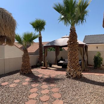 Treepro - Trimmed palms - Tree Services Near Me - Las Vegas, Nevada