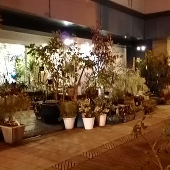 Oslo Nurseries Gardening 大淀南3丁目2 4 大阪市 北区 大阪府 Japan Phone Number Yelp