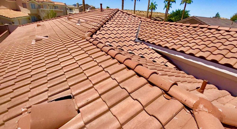 Slide of Romer’s Roofing