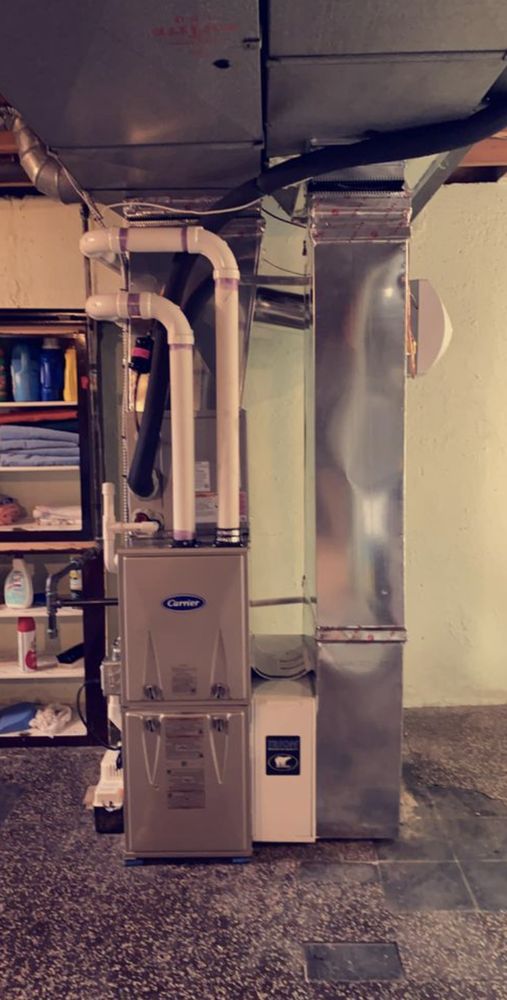 Slide of Whitney Services