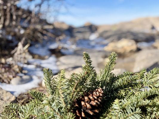 Sandia Peak Tramway by null