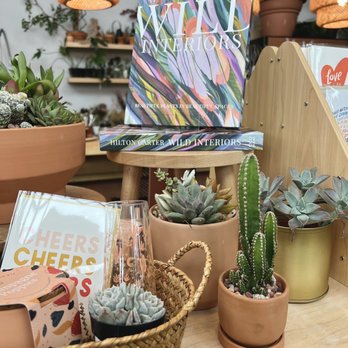 The Plant Shoppe - February 2023 - Florists Near Me - Oklahoma City, Oklahoma The Plant Shoppe - February 2023 - Florists Near Me - Oklahoma City, Oklahoma