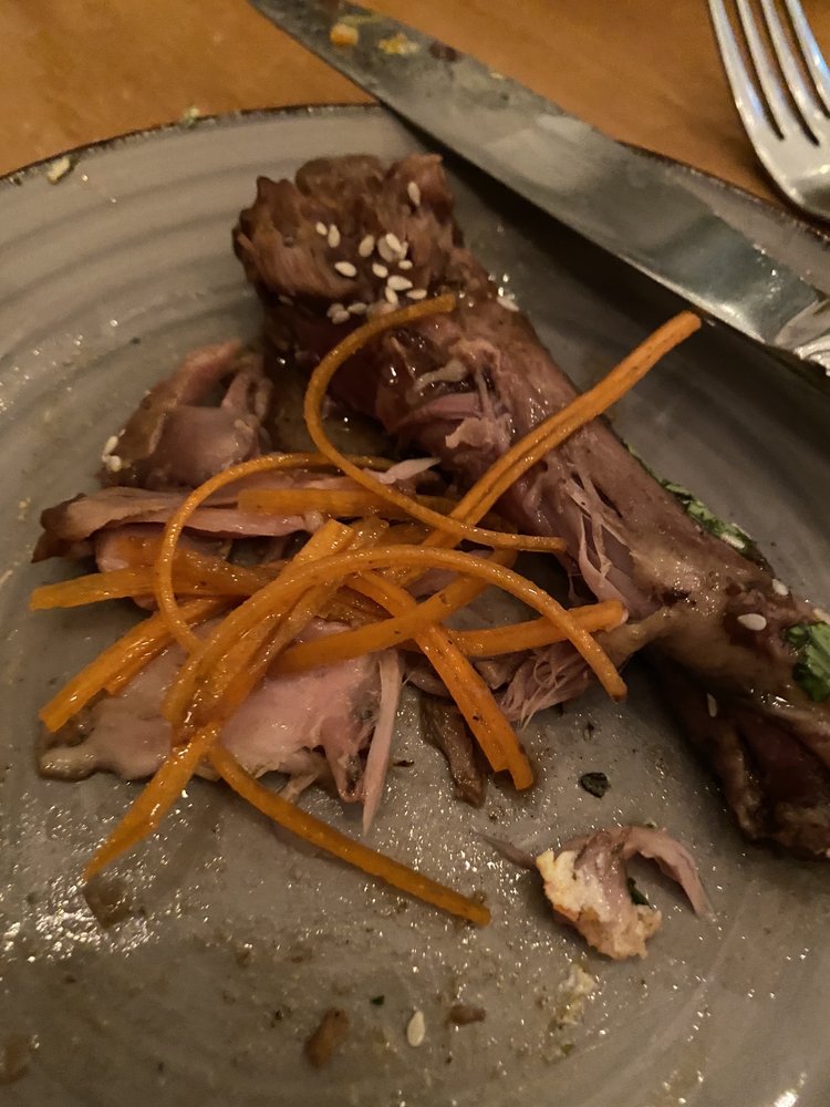 THE TANGERINE TORTOISE Updated August 2024 10 Photos 145 Russell